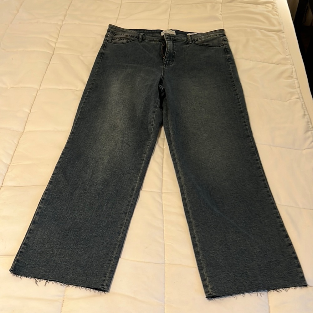 Social Standard by Sanctuary size 16 crop jeans